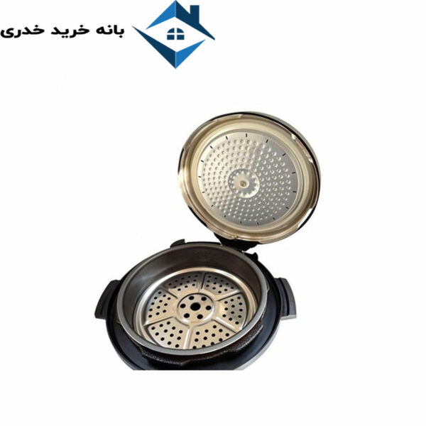 زودپز مارک دلمونتی مدل dl490